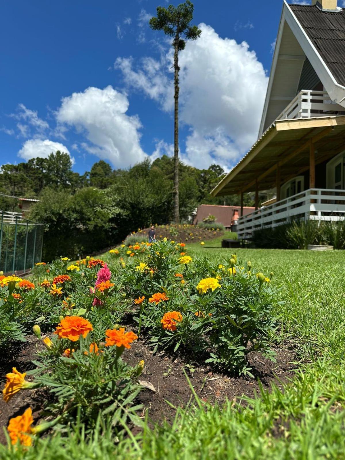 Inn Jasmim Da Serra Campos do Jordao